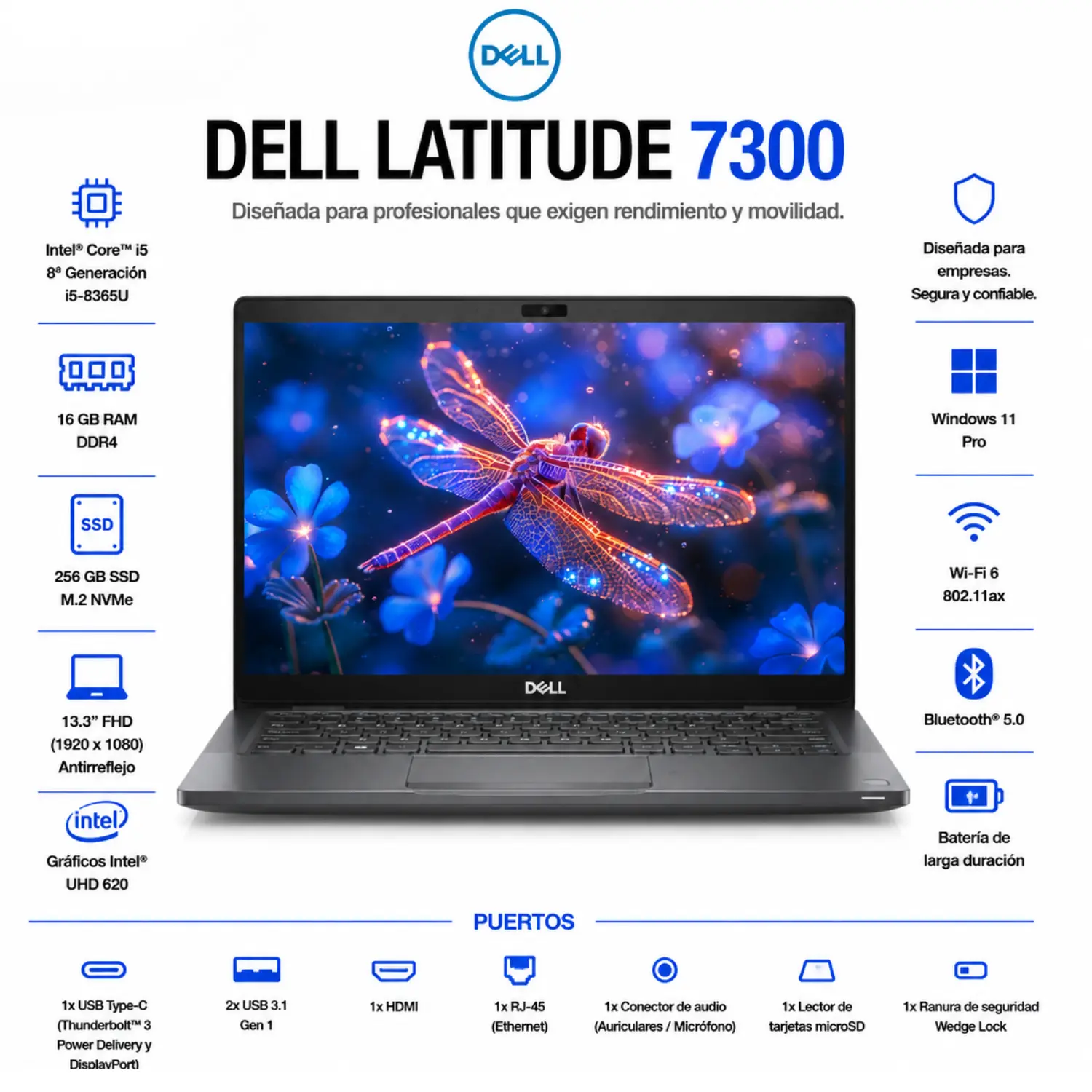 Dell Latitude 7300 13.3" FHD Intel Core i5 16GB RAM 256GB SSD Windows 11 (Reacondicionado) 